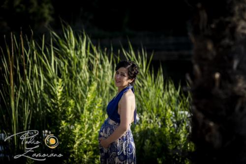 018-Embarazo-Teresa